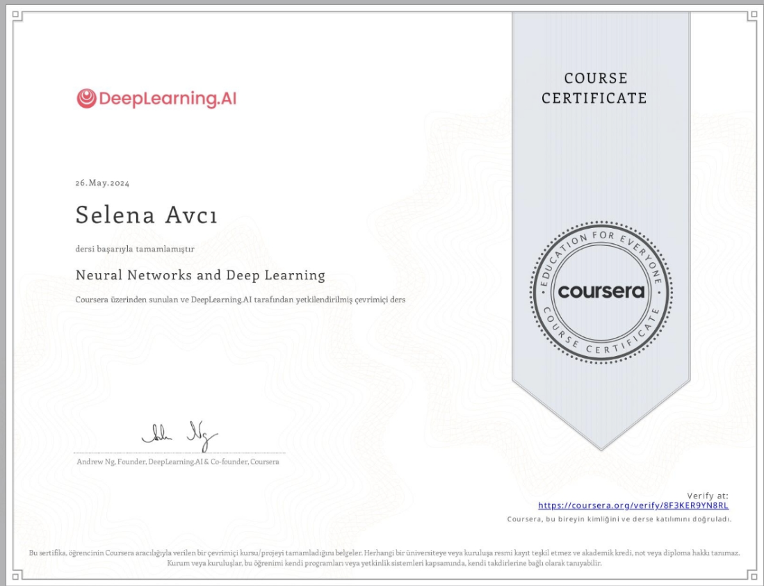Neural Networks certificate