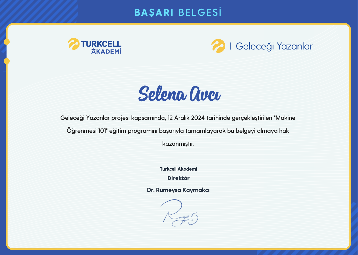 ML 101 certificate