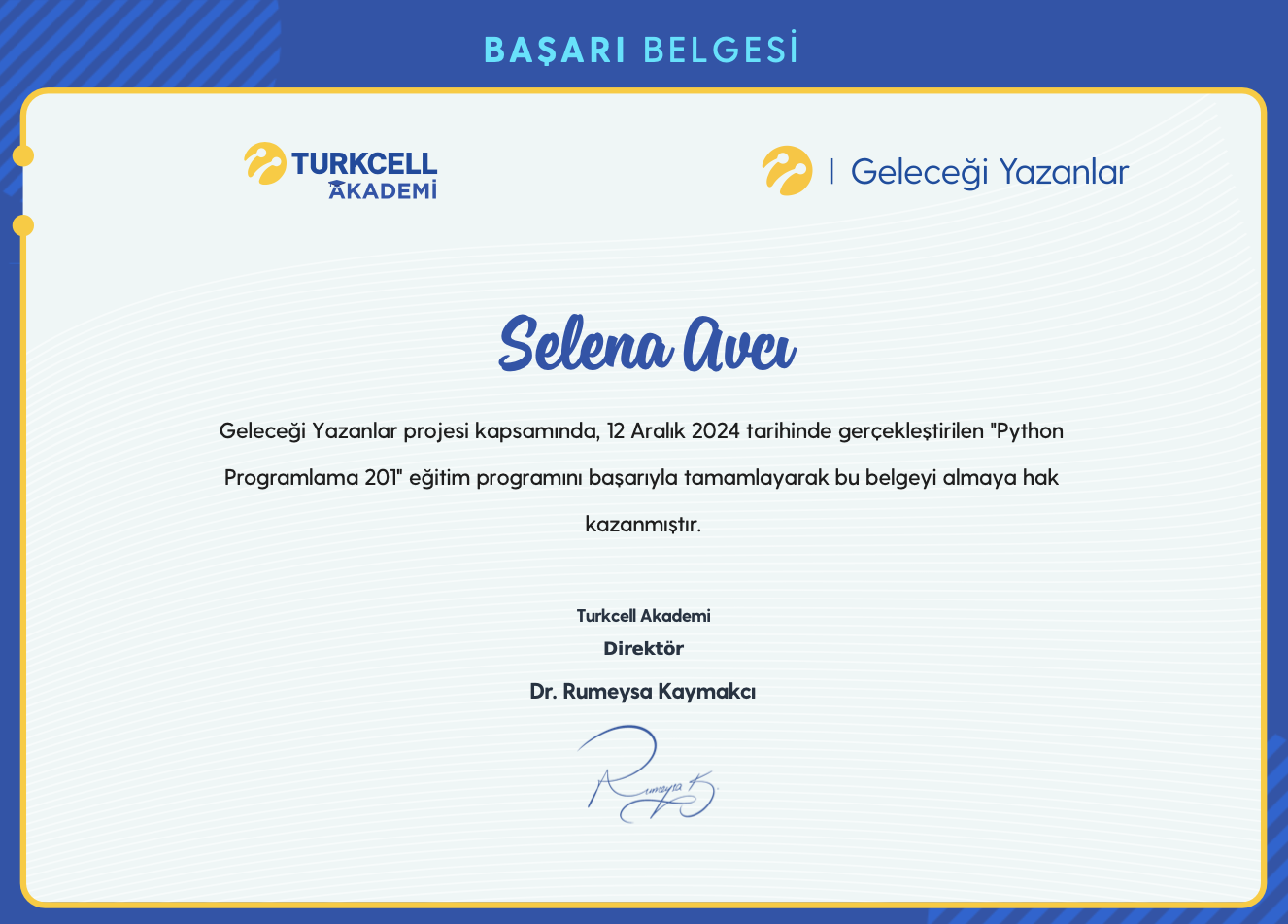 Python 201 certificate