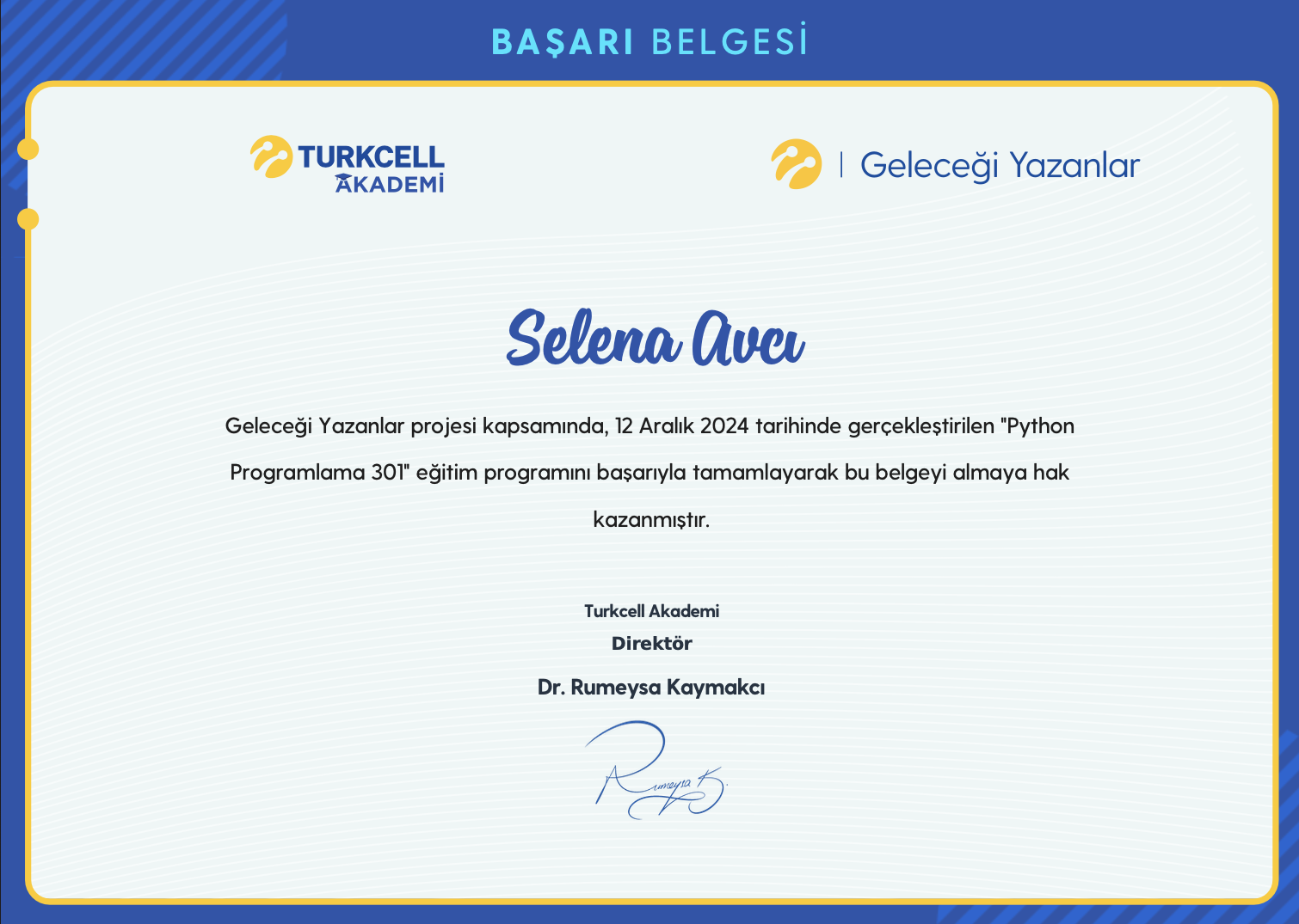 Python 301 certificate